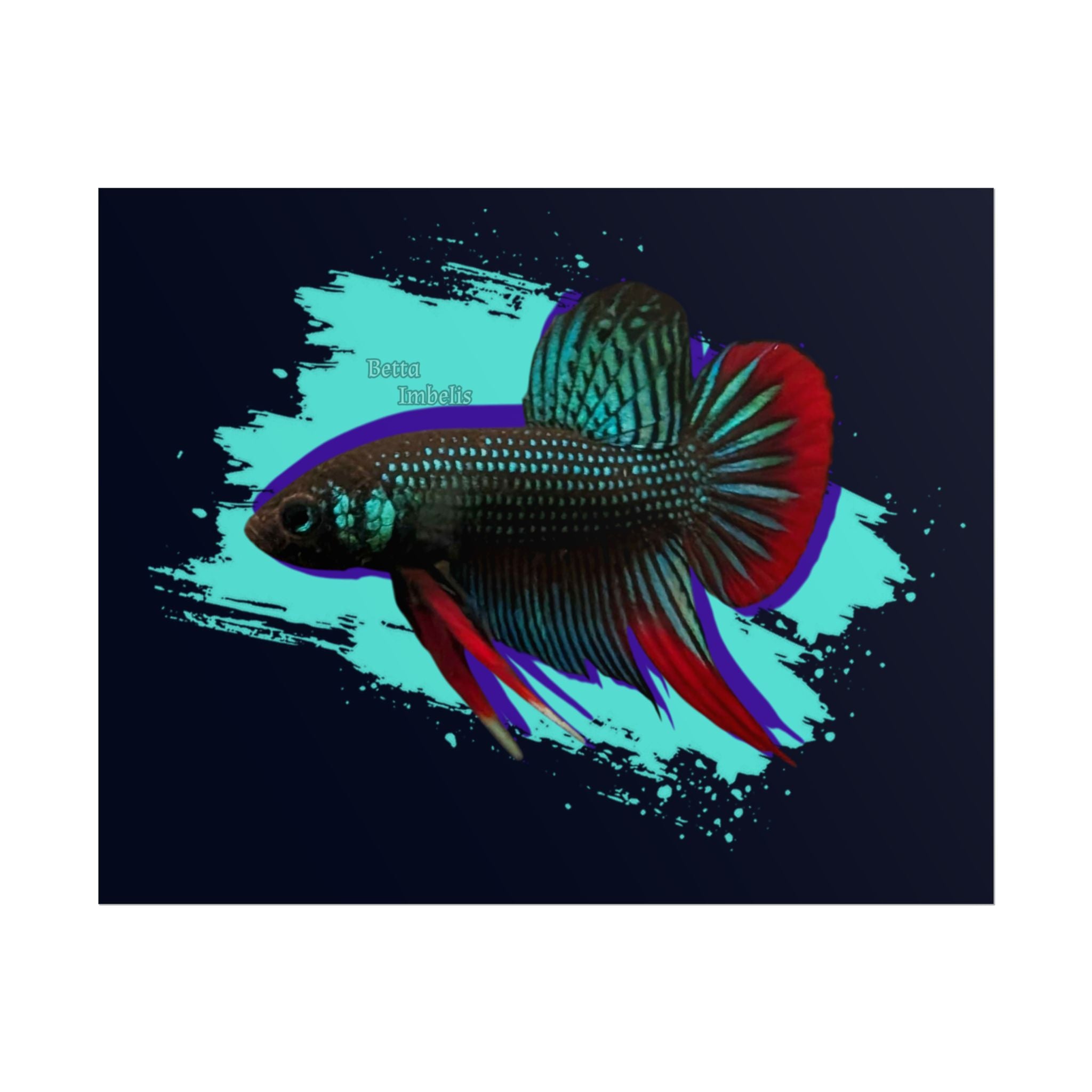Betta imbelis Fish Art Poster — Vibrant Neon Tropical Aquarium Print