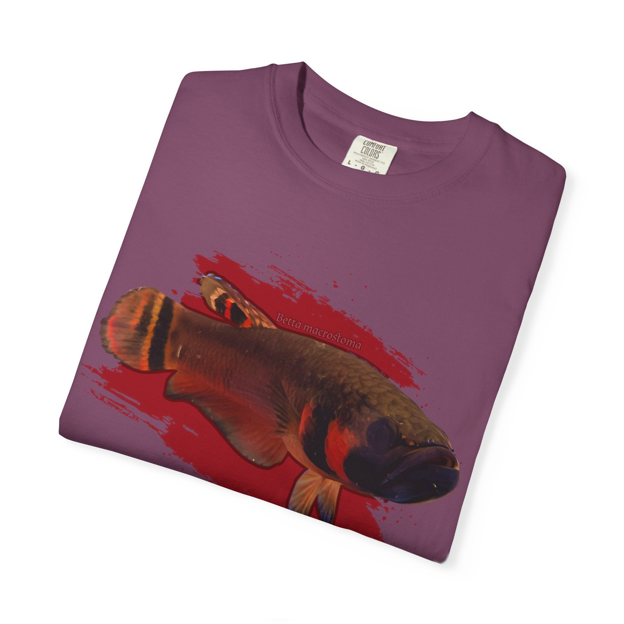 Betta macrostoma Tshirt - Rare Wild Betta fish
