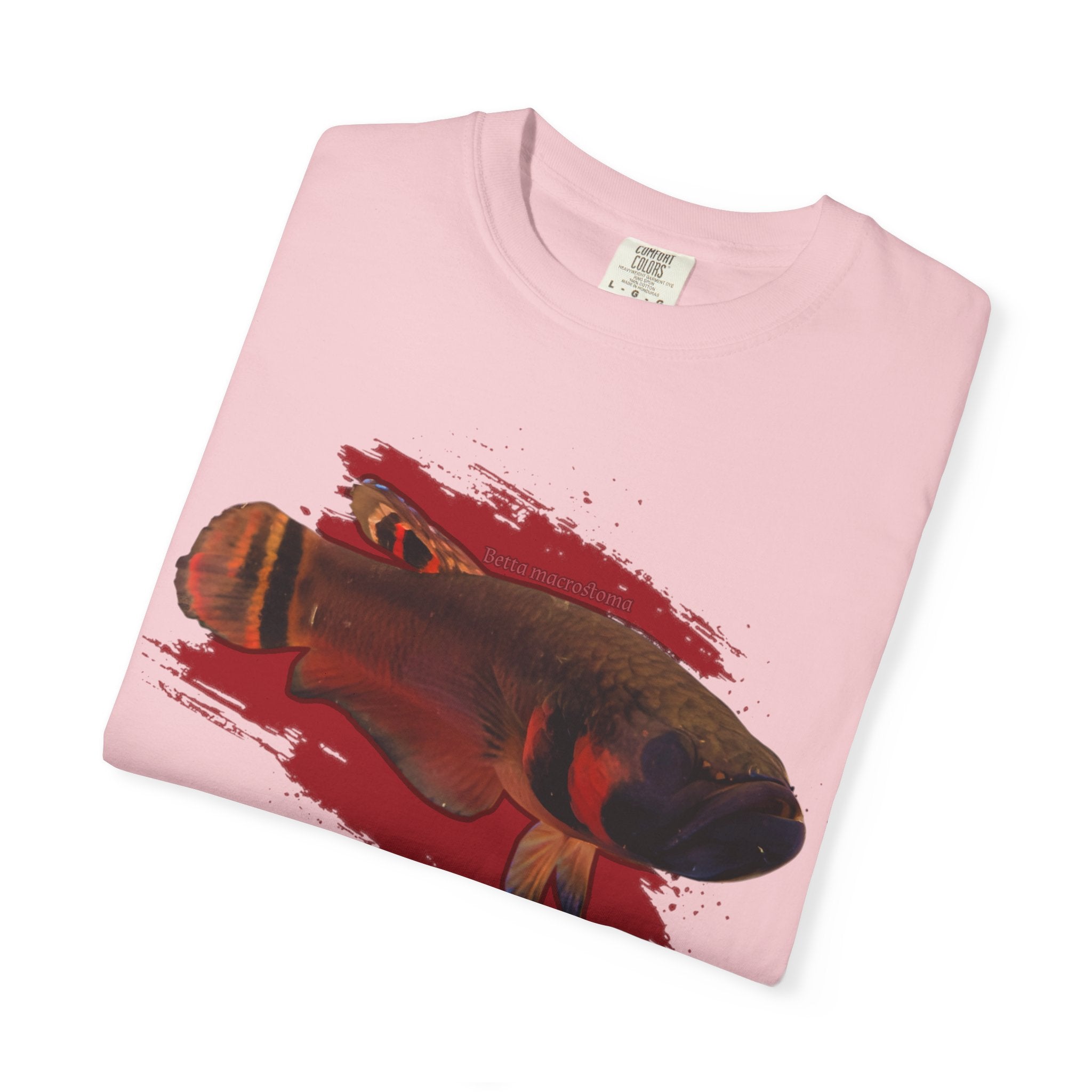Betta macrostoma Tshirt - Rare Wild Betta fish