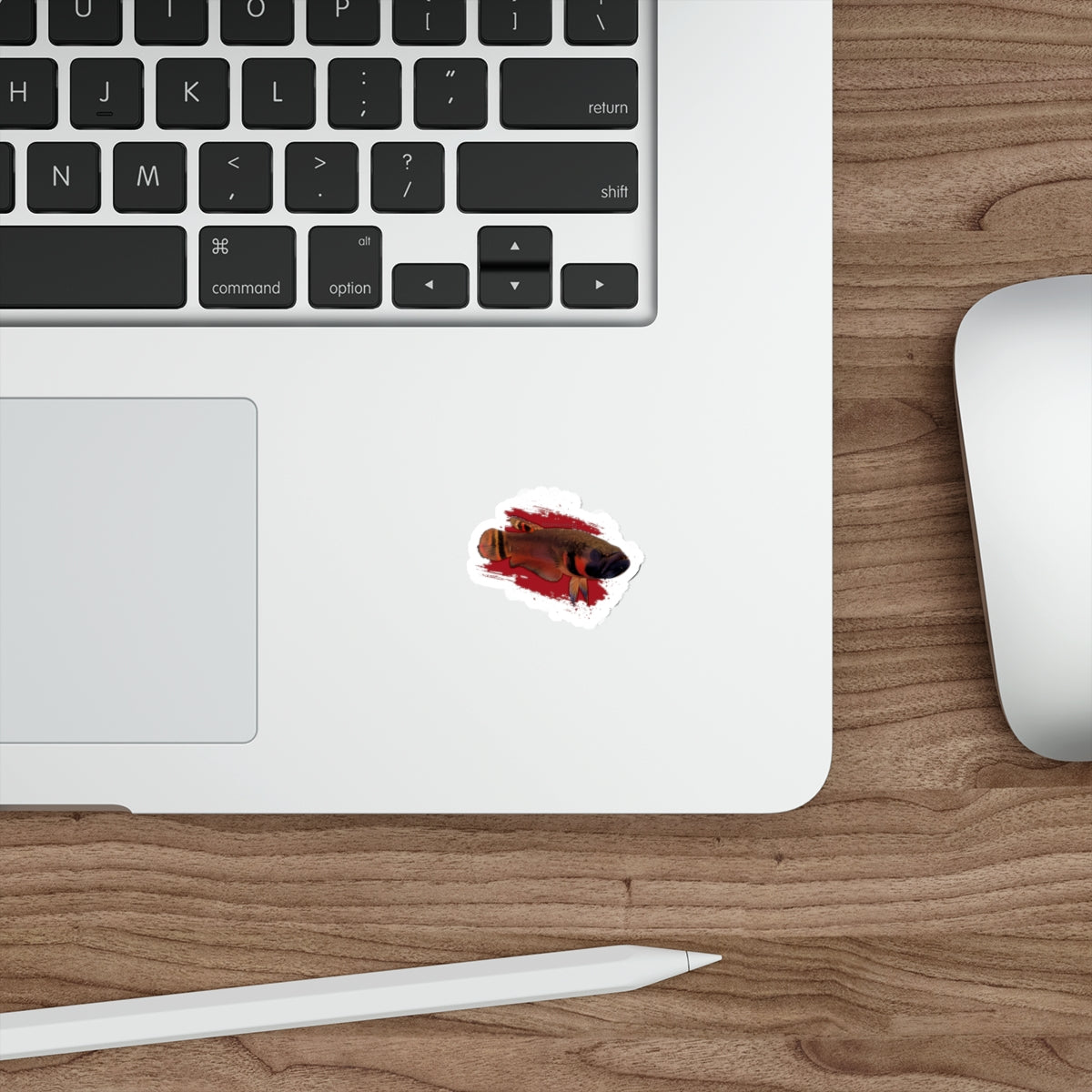 Betta macrostoma sticker - die cut