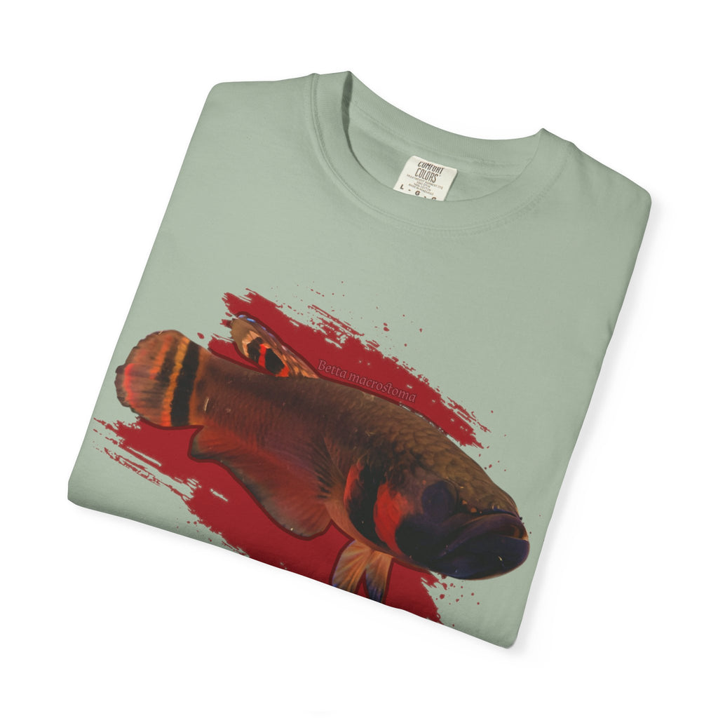 Betta macrostoma Tshirt - Rare Wild Betta fish