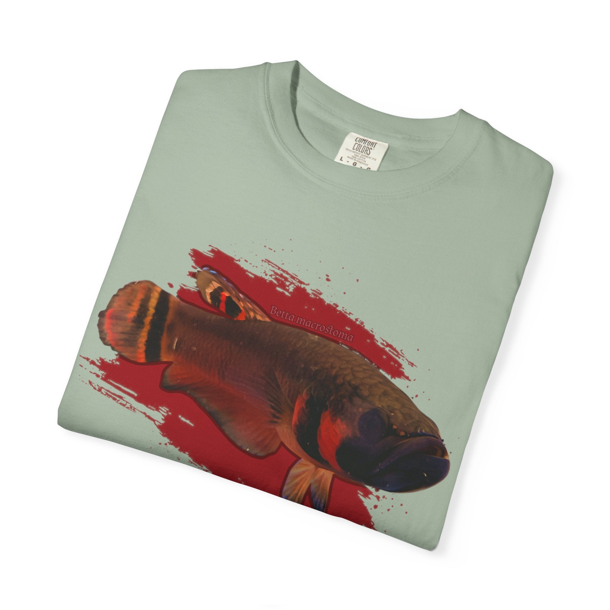 Betta macrostoma Tshirt - Rare Wild Betta fish