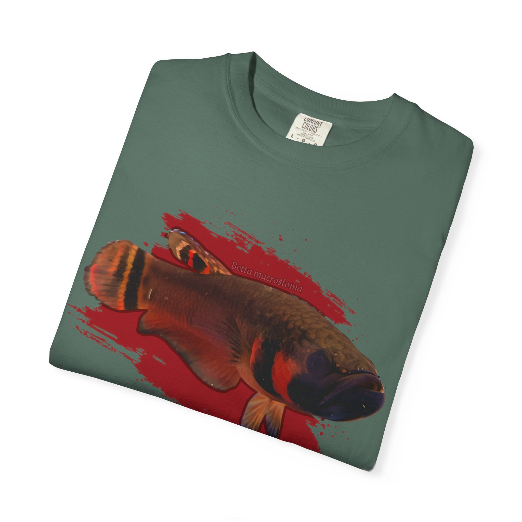 Betta macrostoma Tshirt - Rare Wild Betta fish