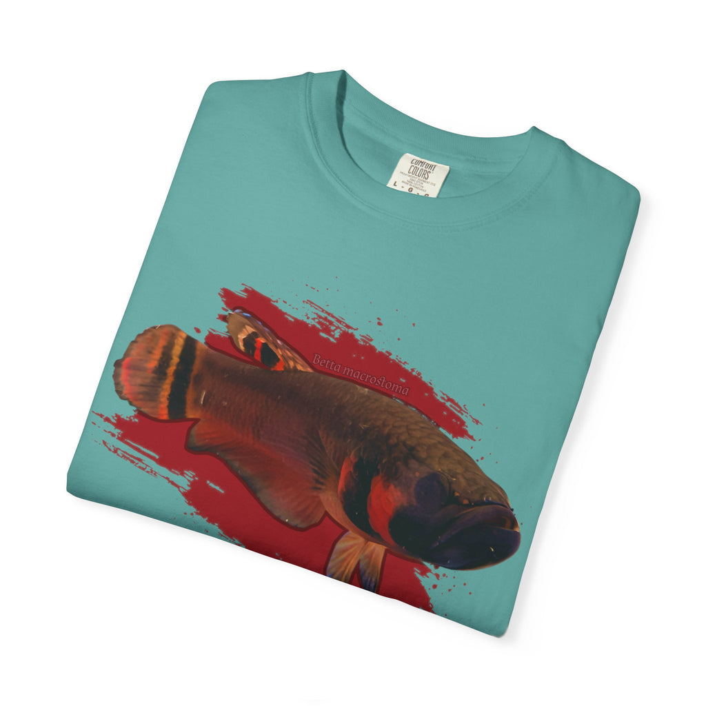 Betta macrostoma Tshirt - Rare Wild Betta fish