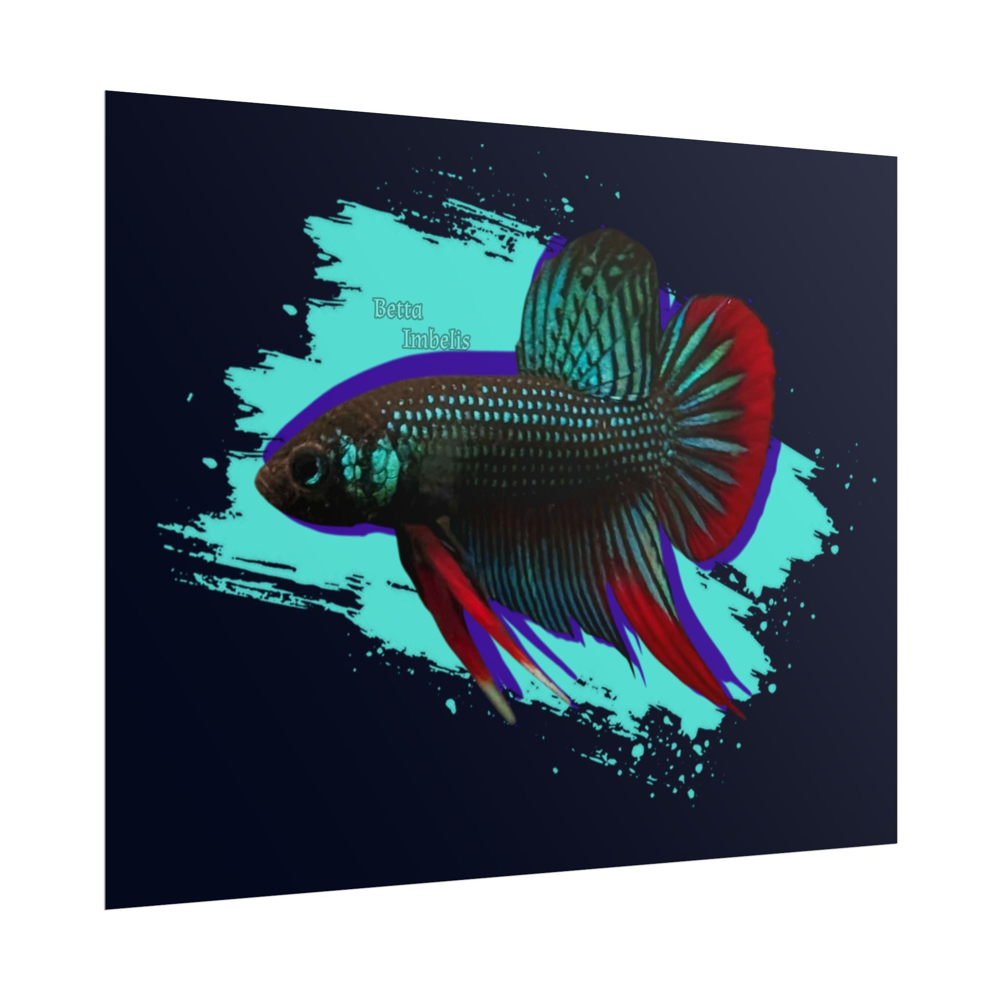 Betta imbelis Fish Art Poster — Vibrant Neon Tropical Aquarium Print