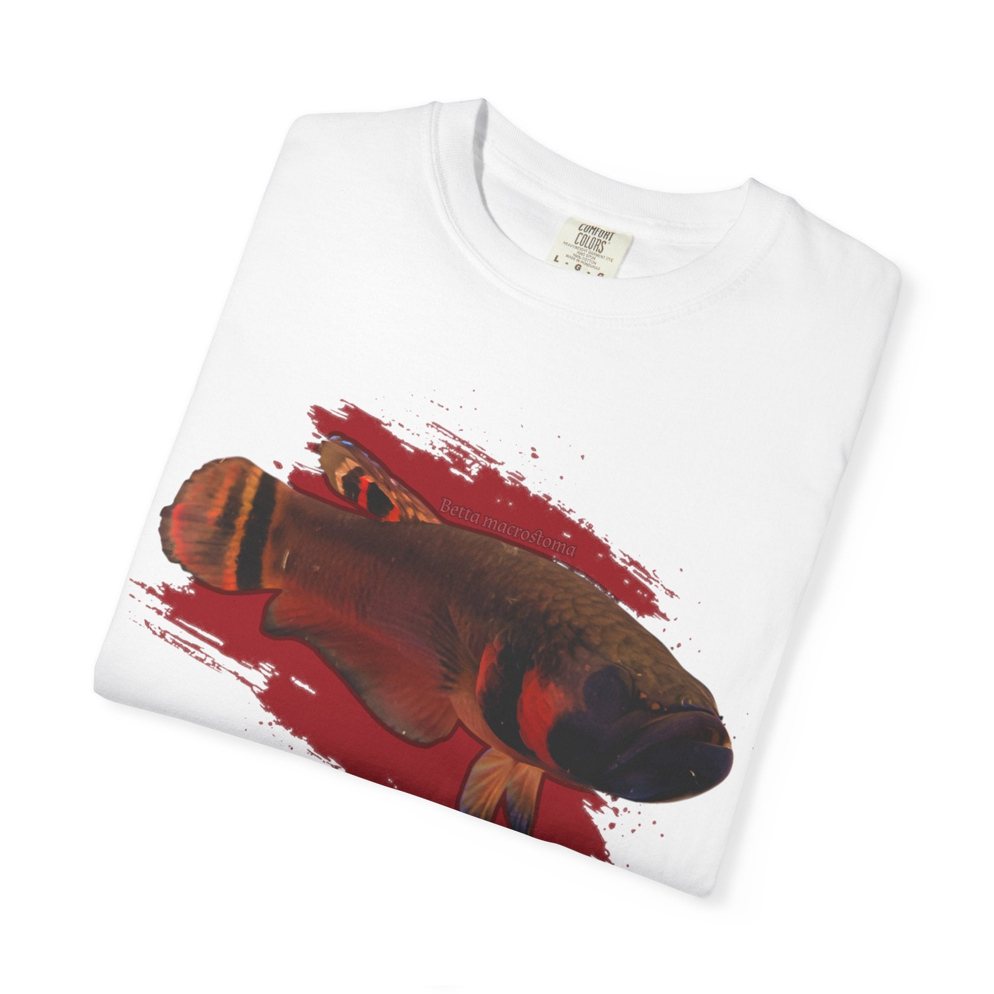 Betta macrostoma Tshirt - Rare Wild Betta fish