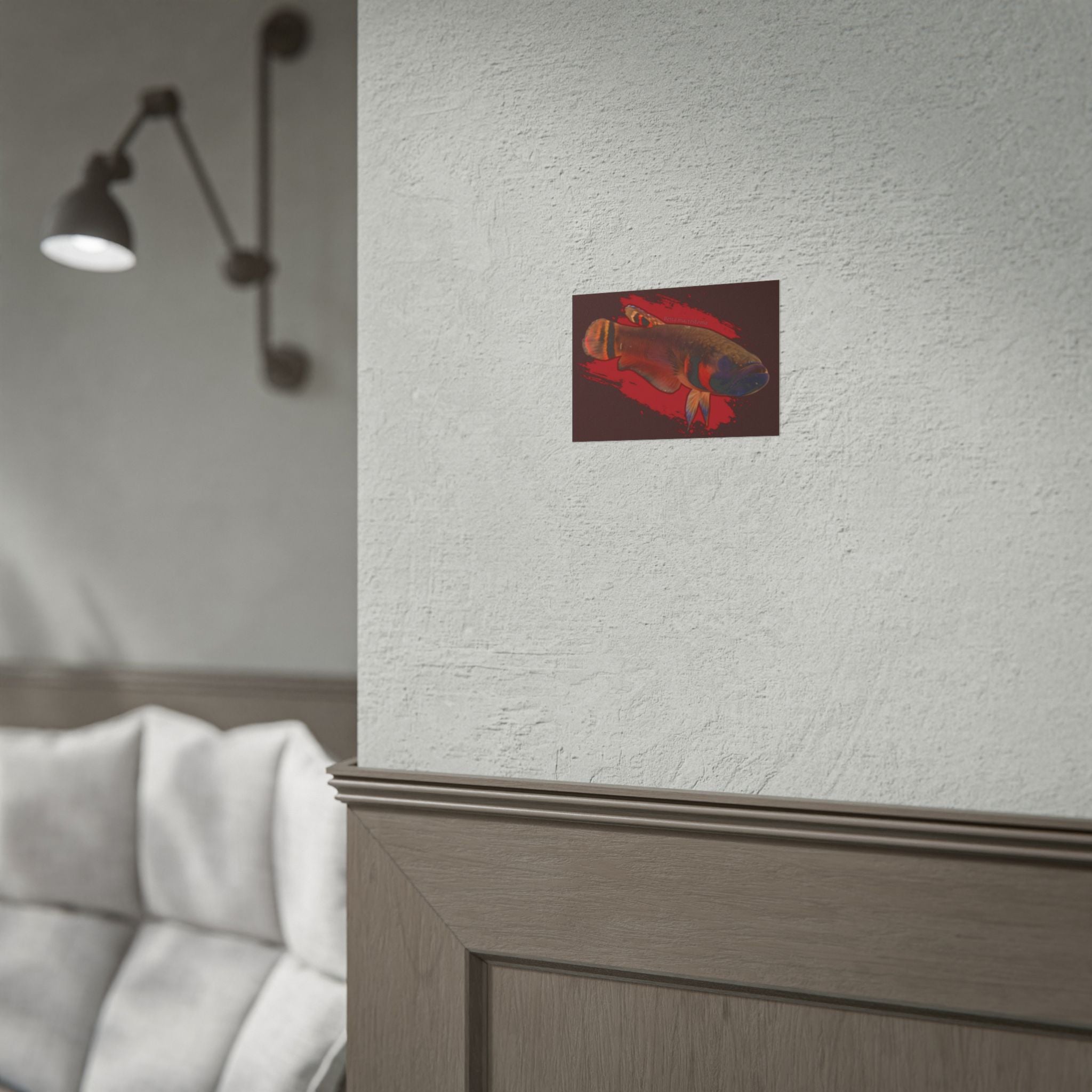 Betta macrostoma wall art - RARE wild betta fish