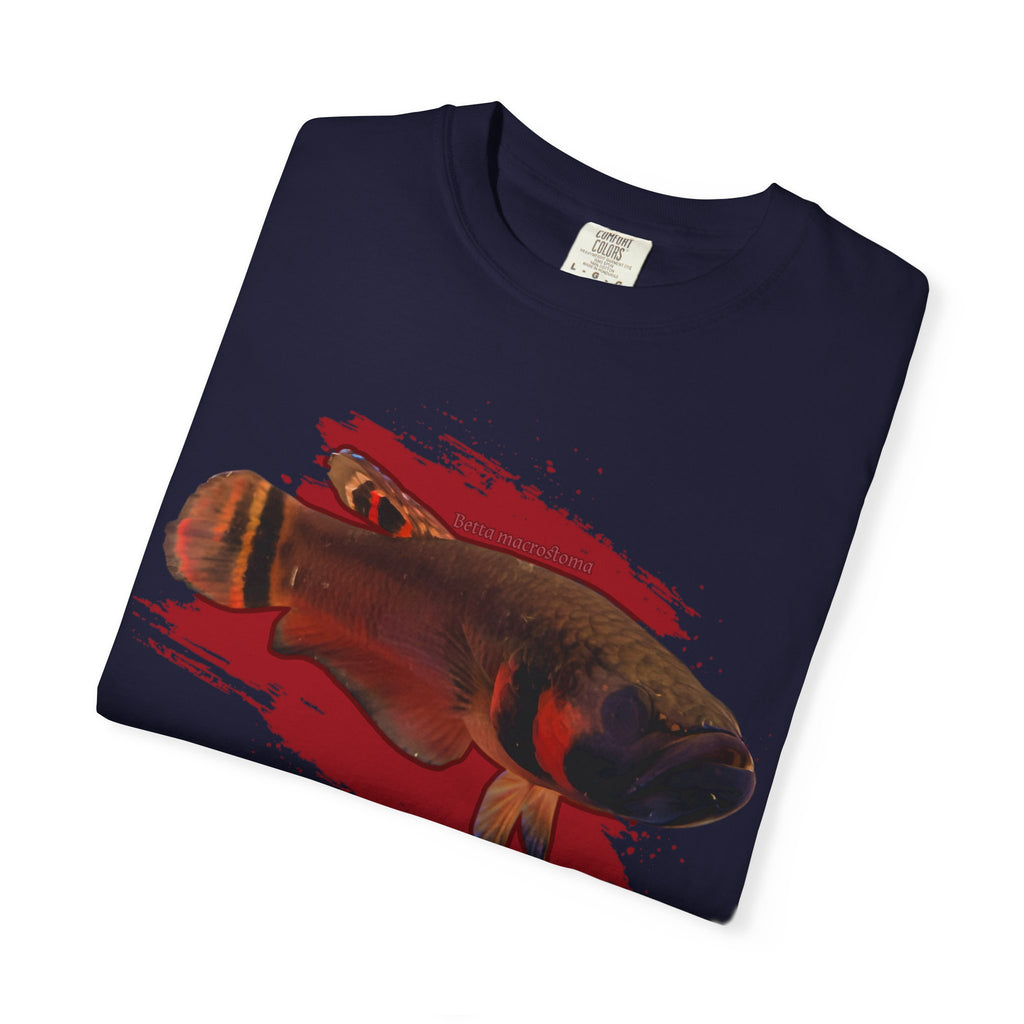 Betta macrostoma Tshirt - Rare Wild Betta fish