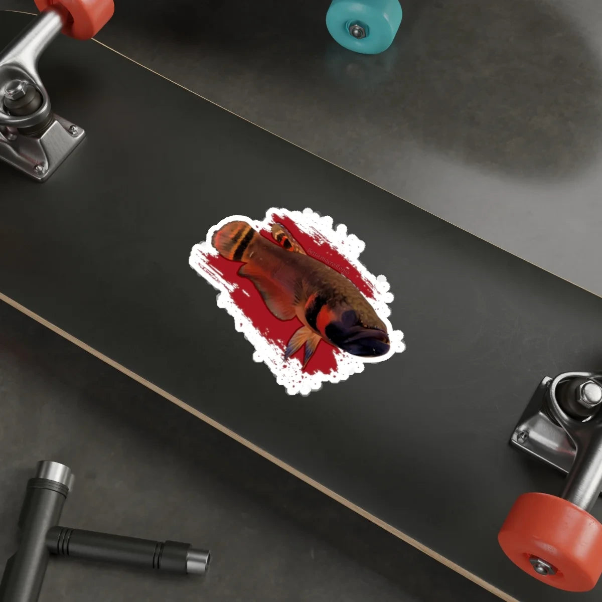 Betta macrostoma sticker - die cut