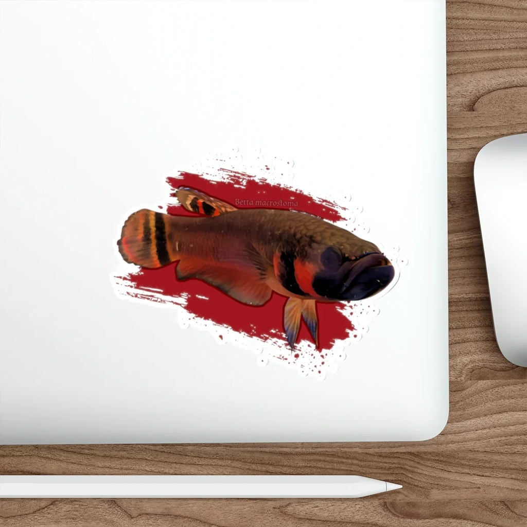 Betta macrostoma sticker - die cut