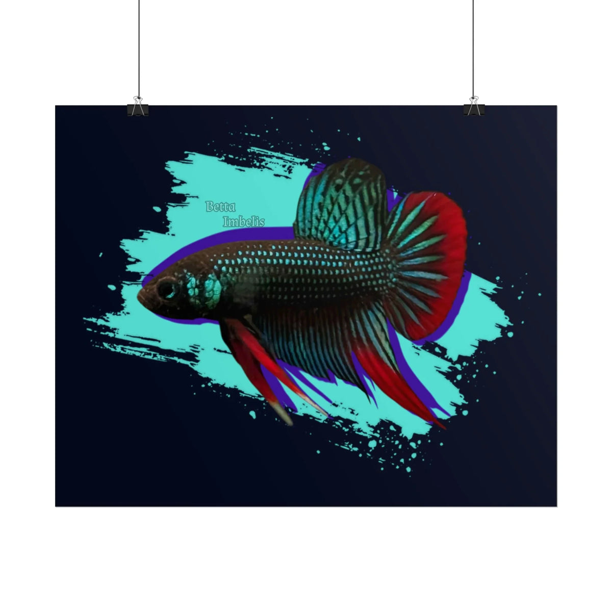 Betta imbelis Fish Art Poster — Vibrant Neon Tropical Aquarium Print