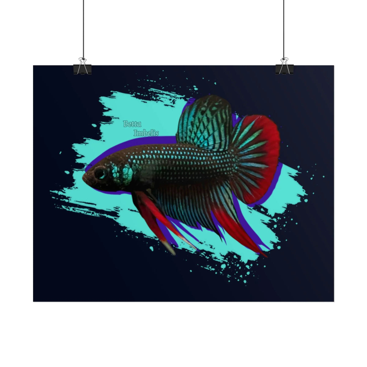 Betta imbelis Fish Art Poster — Vibrant Neon Tropical Aquarium Print