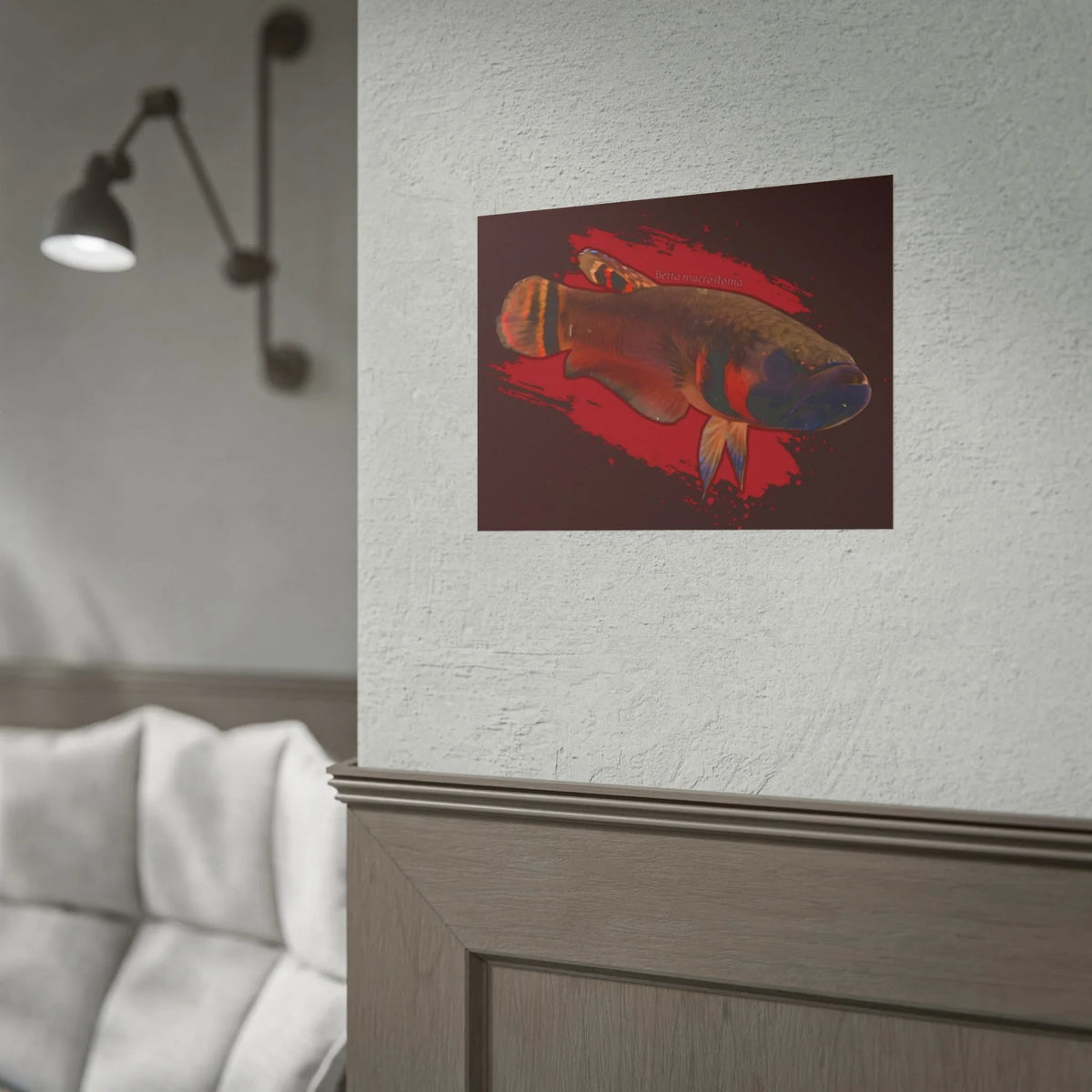Betta macrostoma wall art - RARE wild betta fish