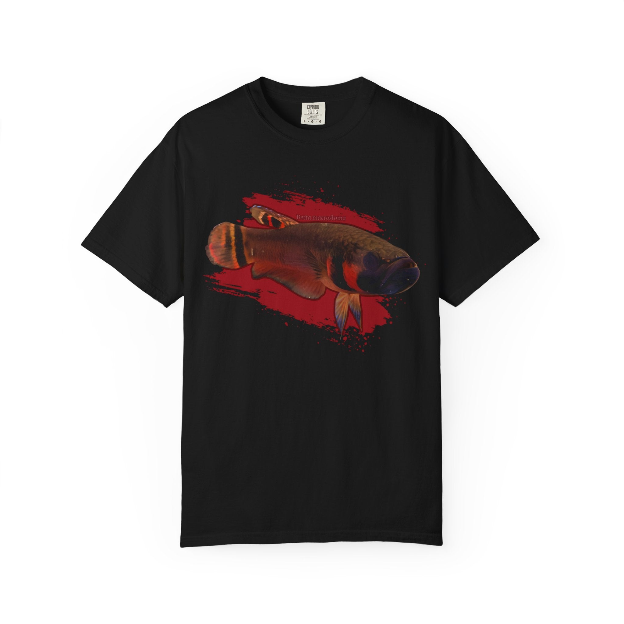 Betta macrostoma Tshirt - Rare Wild Betta fish