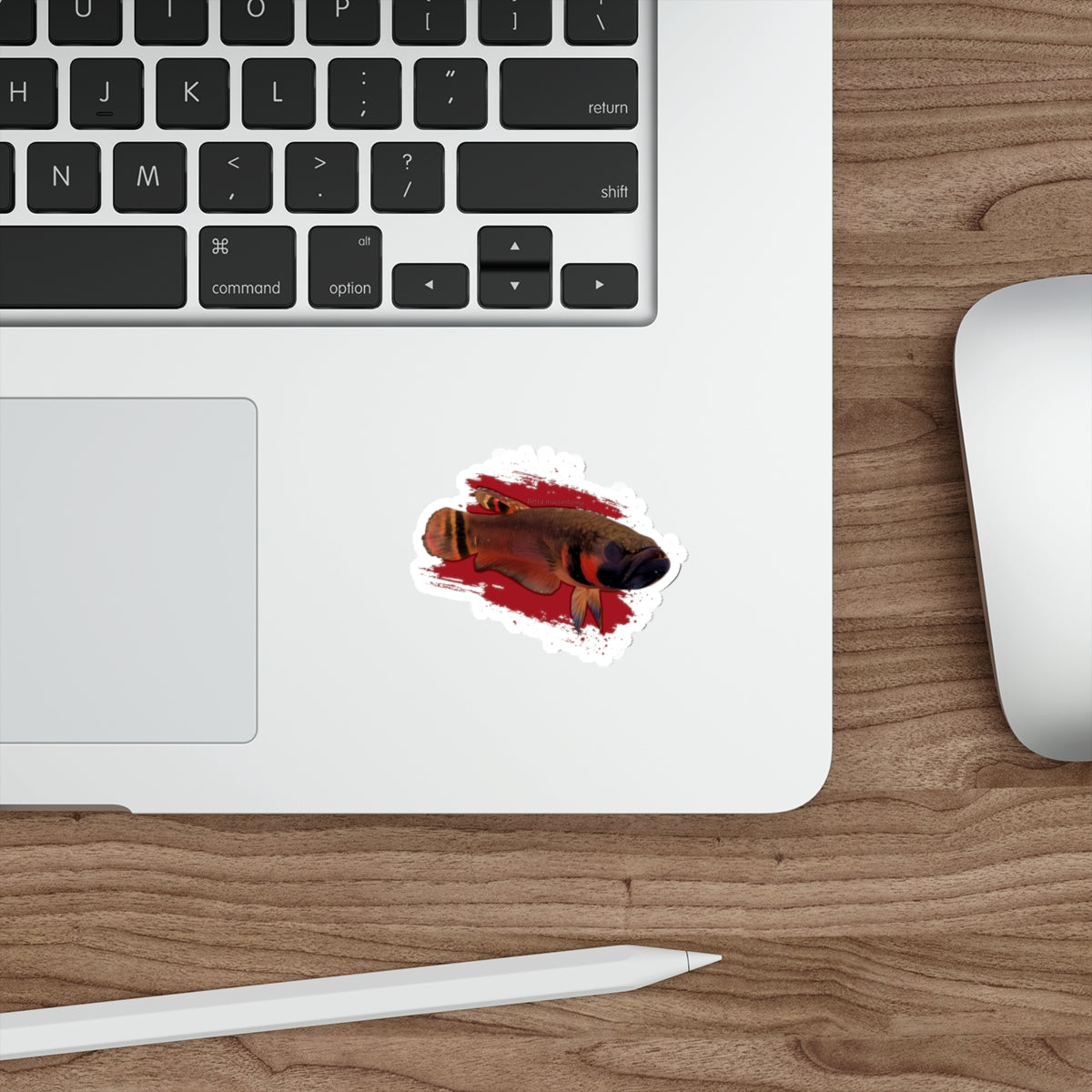 Betta macrostoma sticker - die cut