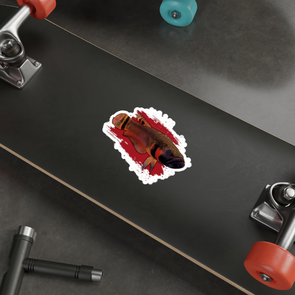 Betta macrostoma sticker - die cut