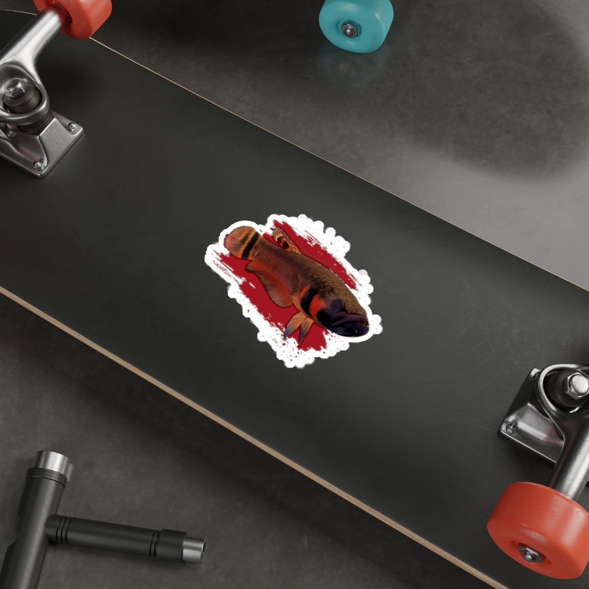 Betta macrostoma sticker - die cut