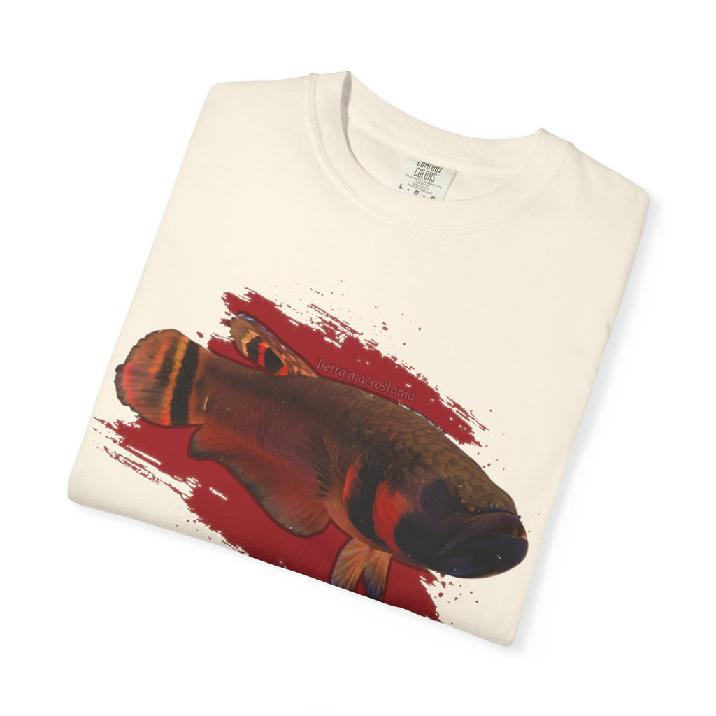 Betta macrostoma Tshirt - Rare Wild Betta fish