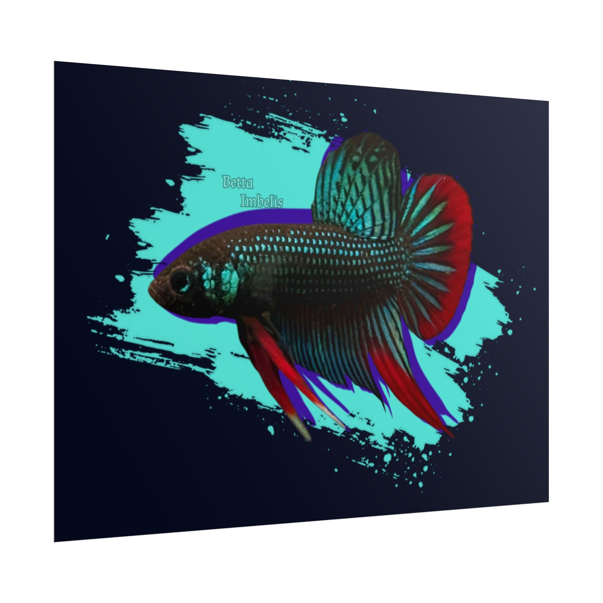Betta imbelis Fish Art Poster — Vibrant Neon Tropical Aquarium Print