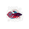 Betta Splenden Fish Die-Cut Sticker — Colorful Aquarium Pet Decal for Laptops & Water Bottles
