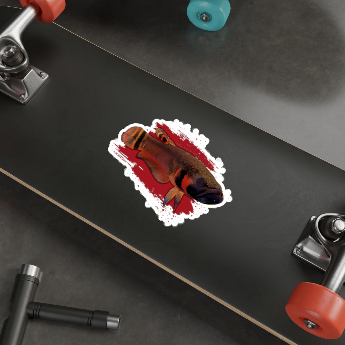 Betta macrostoma sticker - die cut