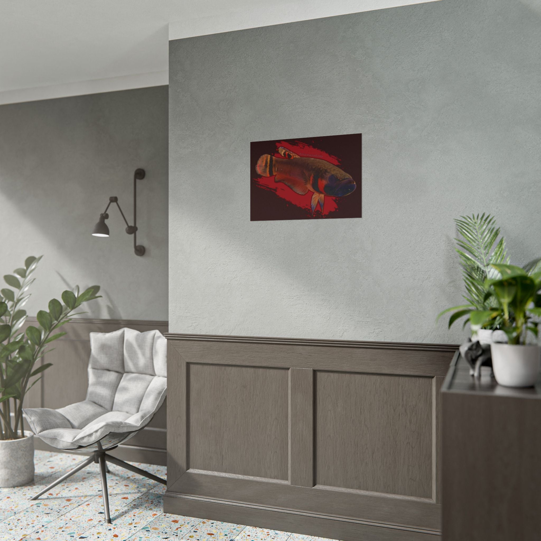 Betta macrostoma wall art - RARE wild betta fish