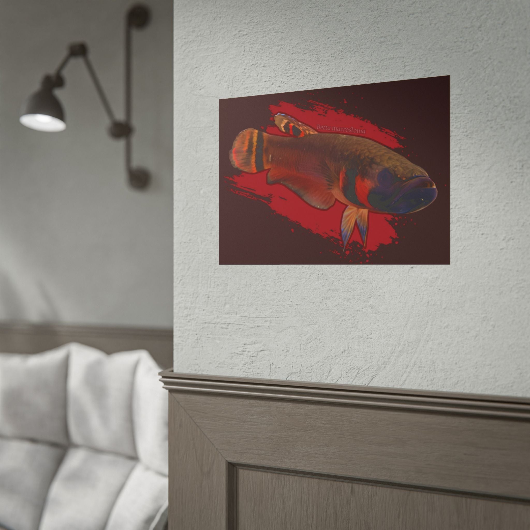 Betta macrostoma wall art - RARE wild betta fish