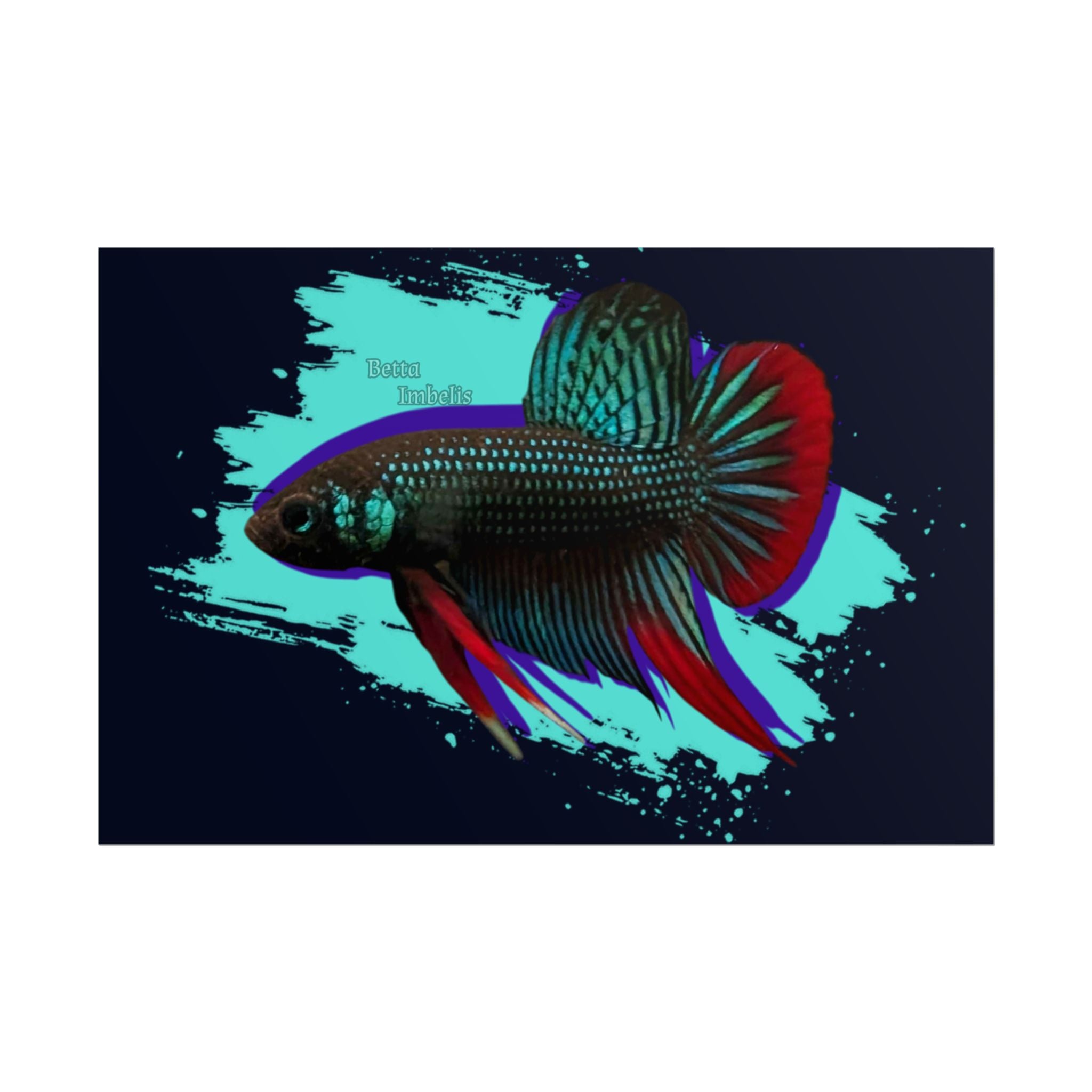 Betta imbelis Fish Art Poster — Vibrant Neon Tropical Aquarium Print