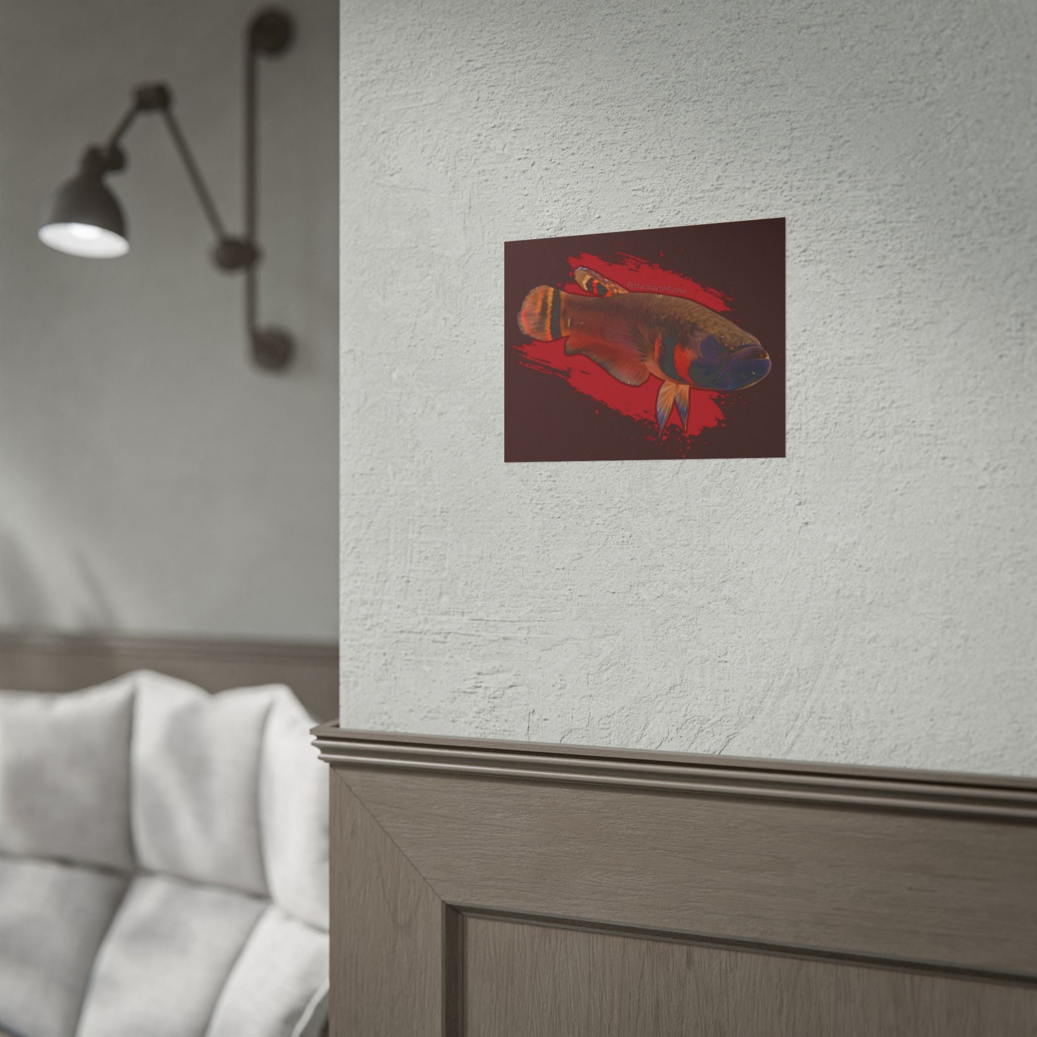 Betta macrostoma wall art - RARE wild betta fish