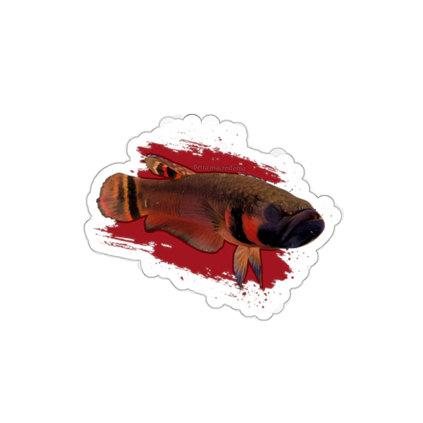 Betta macrostoma sticker - die cut