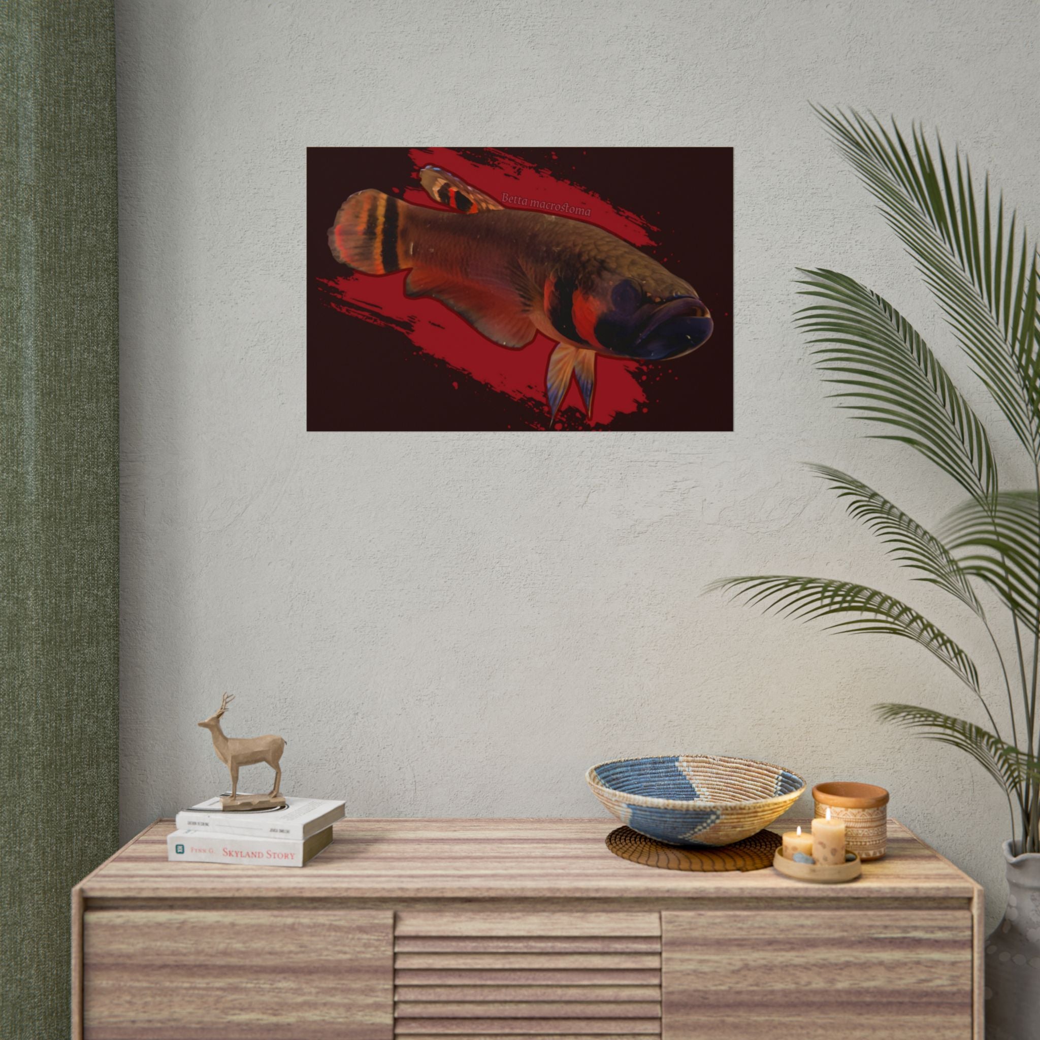 Betta macrostoma wall art - RARE wild betta fish