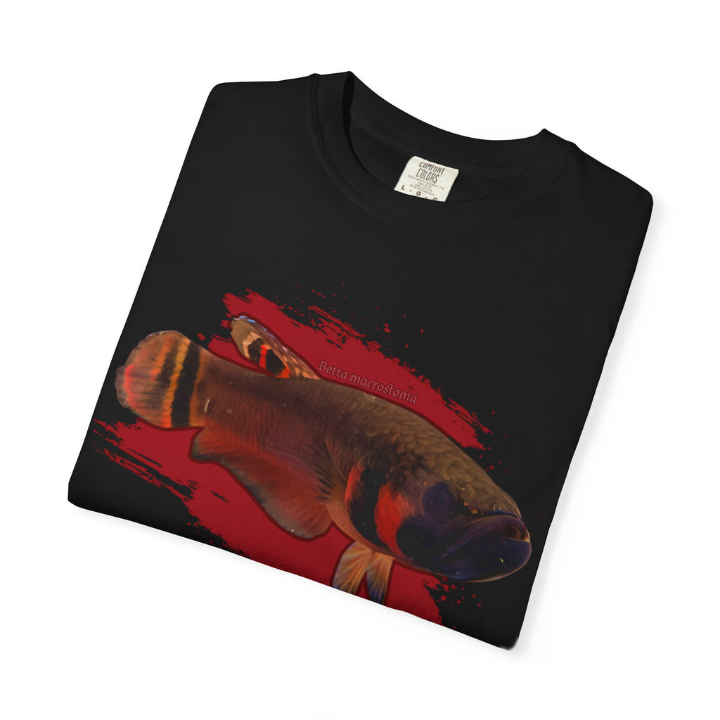 Betta macrostoma Tshirt - Rare Wild Betta fish