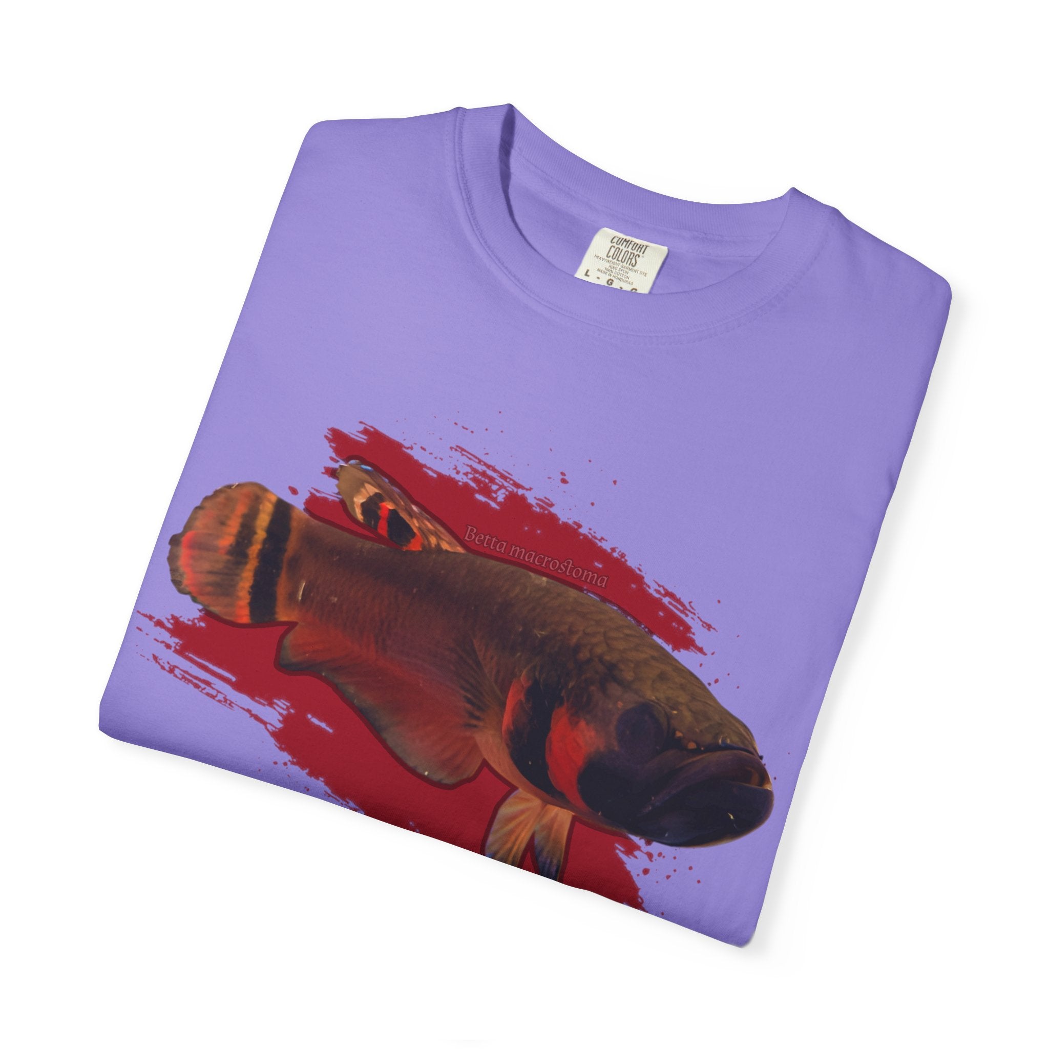 Betta macrostoma Tshirt - Rare Wild Betta fish