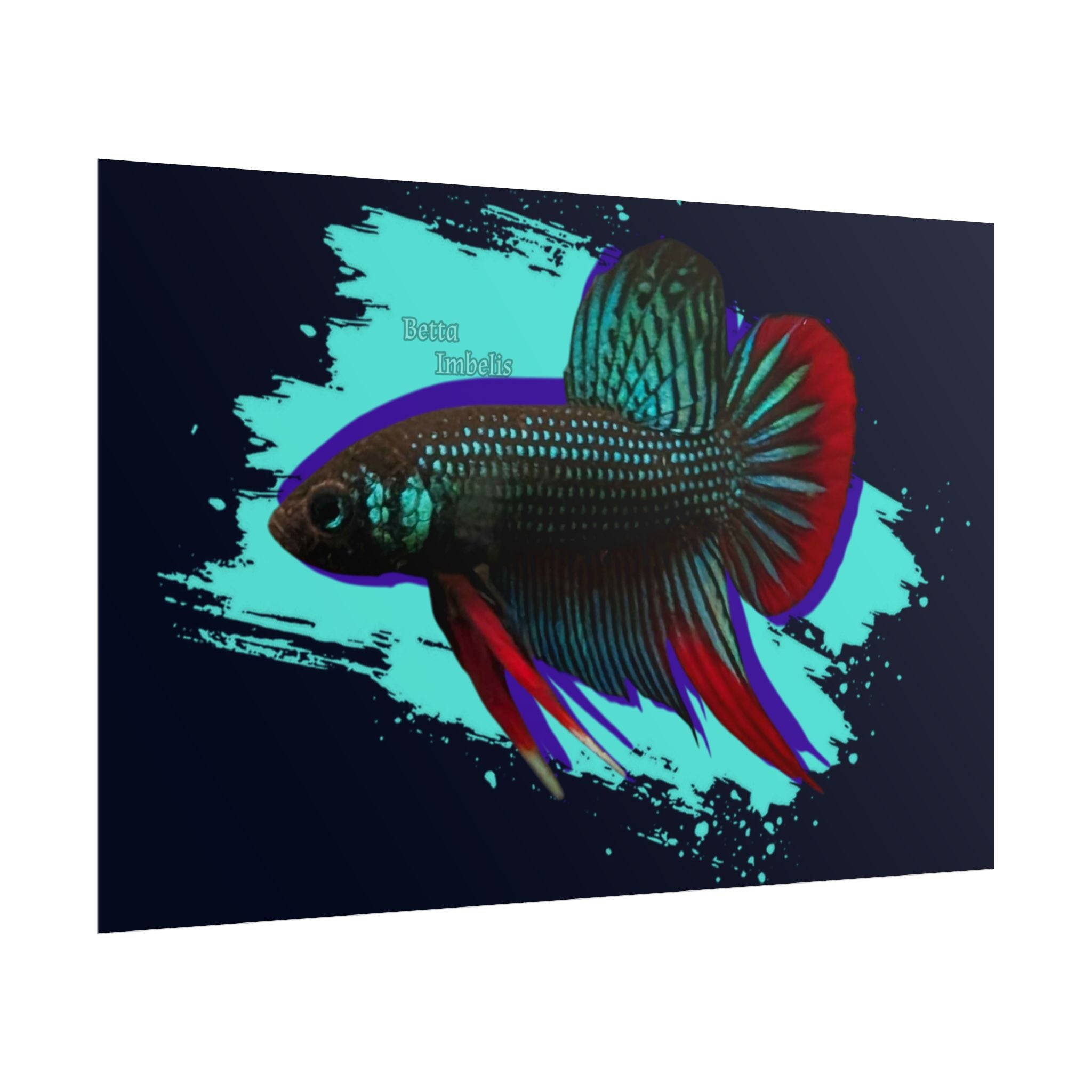 Betta imbelis Fish Art Poster — Vibrant Neon Tropical Aquarium Print