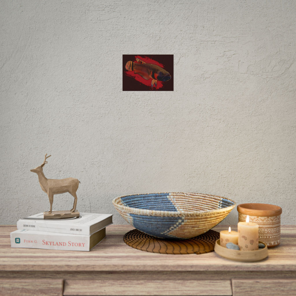 Betta macrostoma wall art - RARE wild betta fish