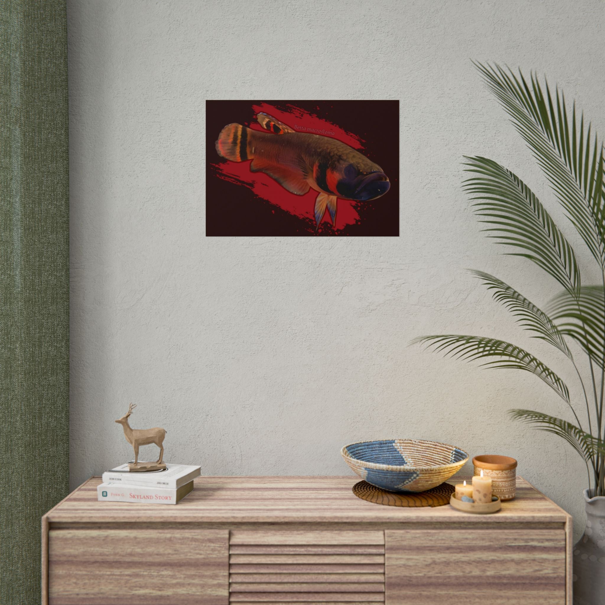 Betta macrostoma wall art - RARE wild betta fish