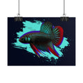 Betta imbelis Fish Art Poster — Vibrant Neon Tropical Aquarium Print
