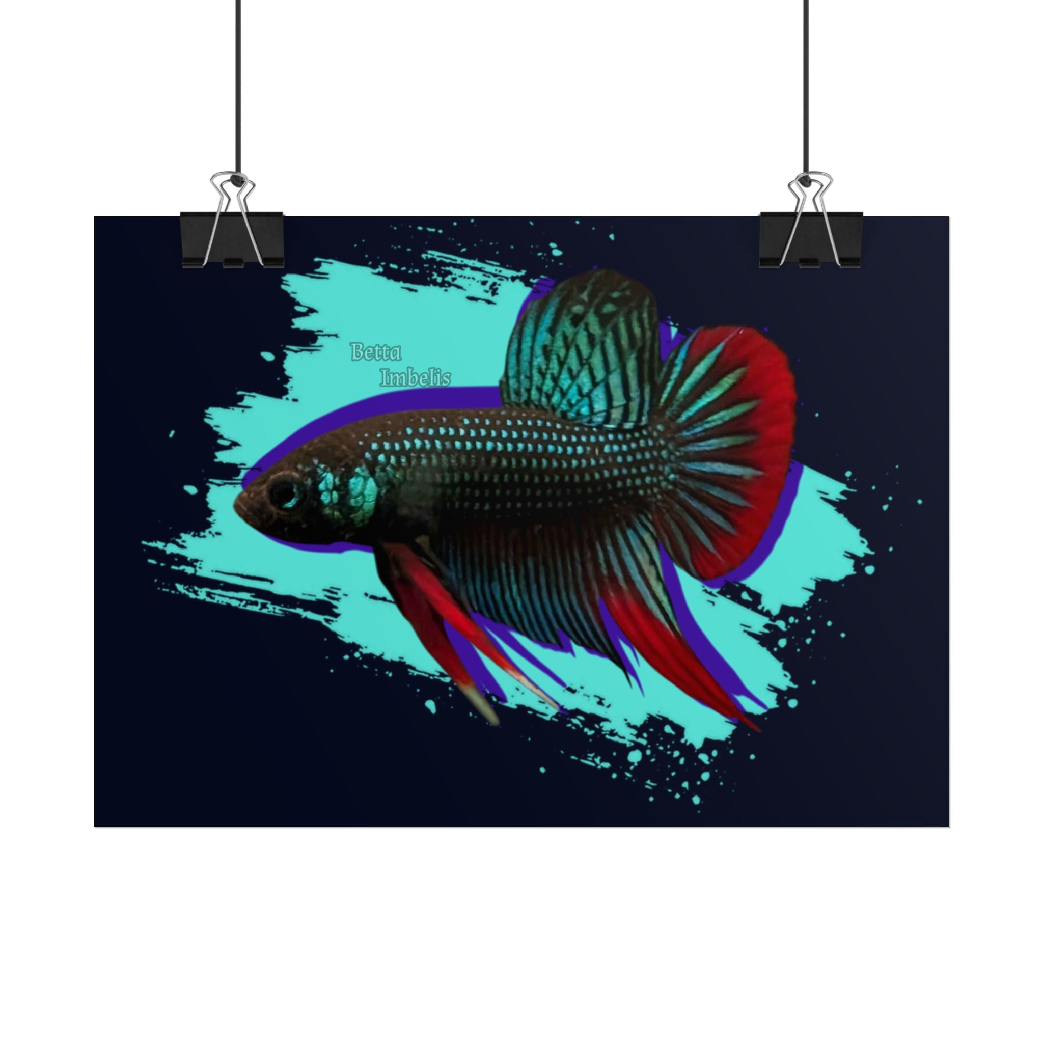 Betta imbelis Fish Art Poster — Vibrant Neon Tropical Aquarium Print