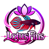 LotusFins - Home